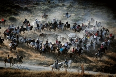 Encierros de agosto en Cuéllar