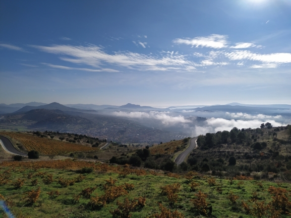 La D.O.P. Cebreros produce una veterana tradición de vinos de la tierra de castilla y león