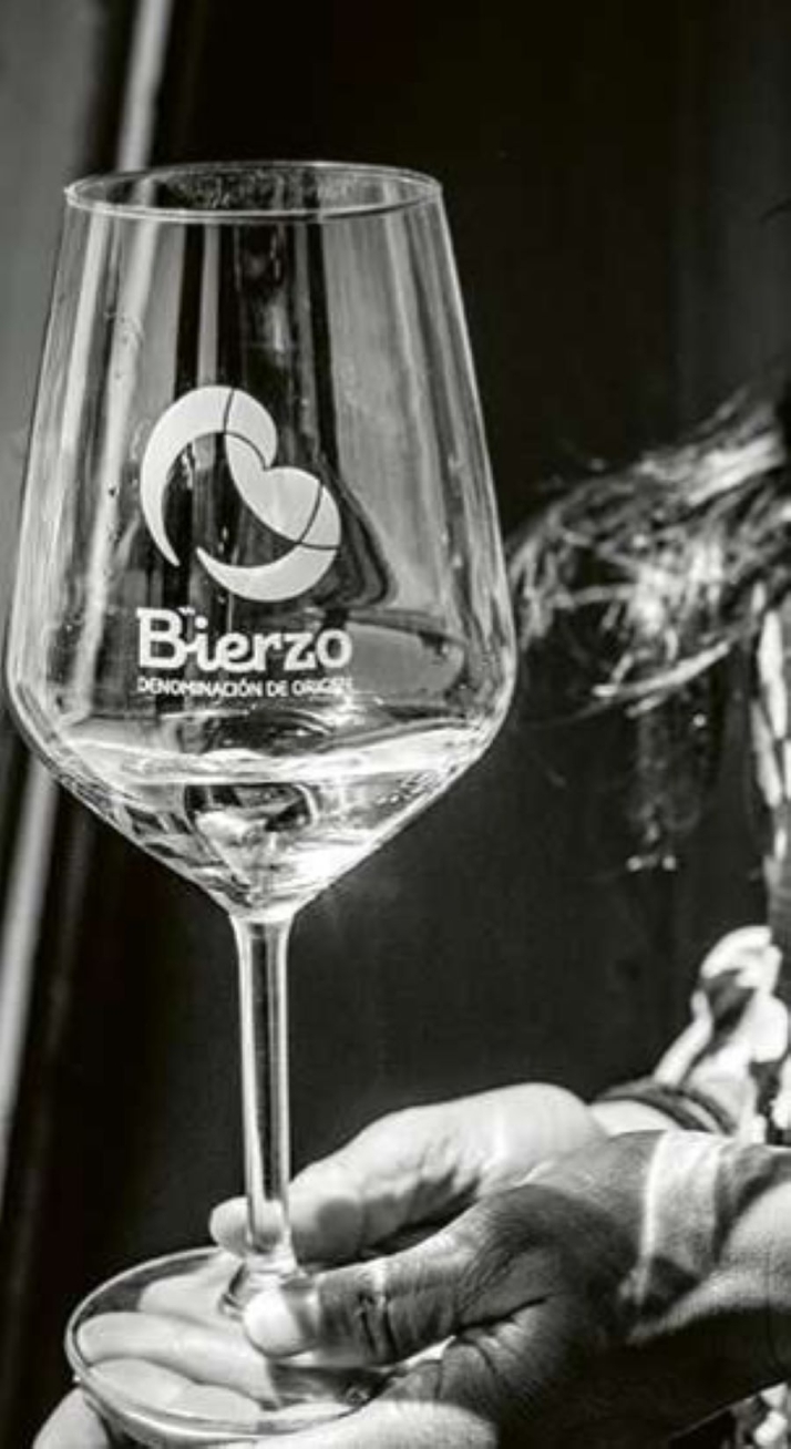 Las bodegas Bierzo forman parte de una de las do vino Castilla y León más reconocida en todo le mundo