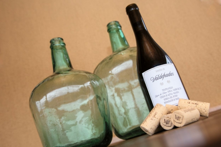 Dominios de Valdefradas, un vino ribera del duero de altura