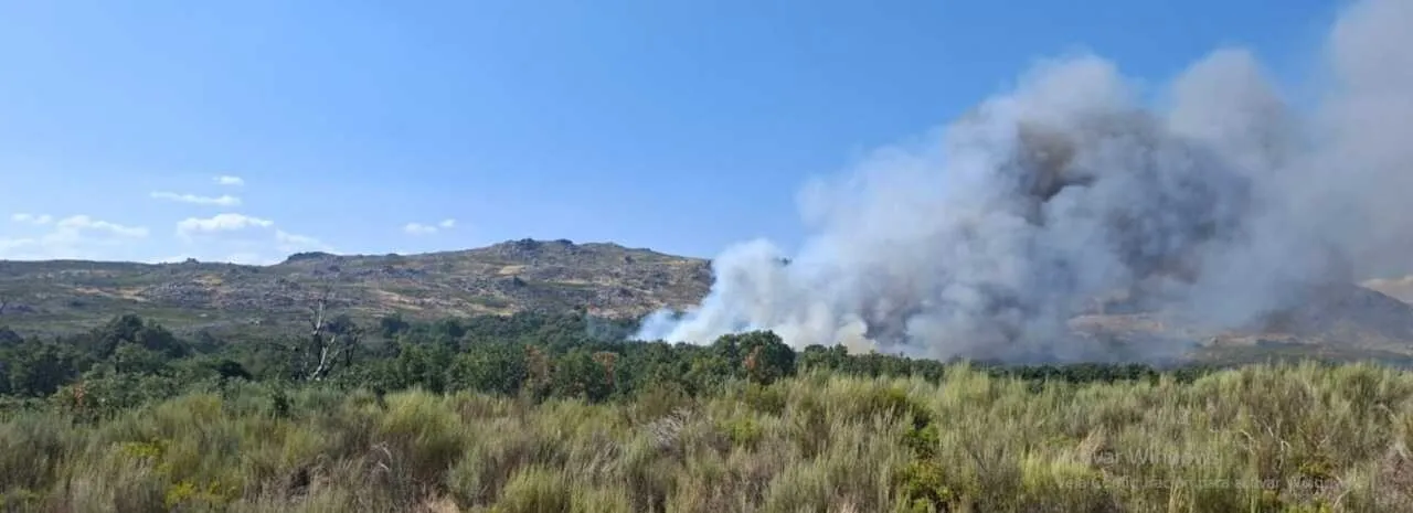 Imagen principal de la noticia