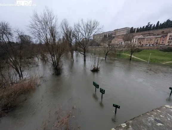 Imagen principal de la noticia